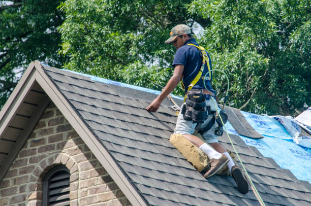 Best Roof Waterproofing Services  in Essexville, MI